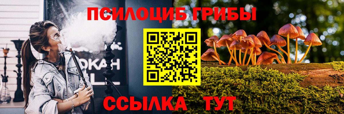 Псилоцибиновые грибы Magic Shrooms  Вход с VPN  Егорьевск 